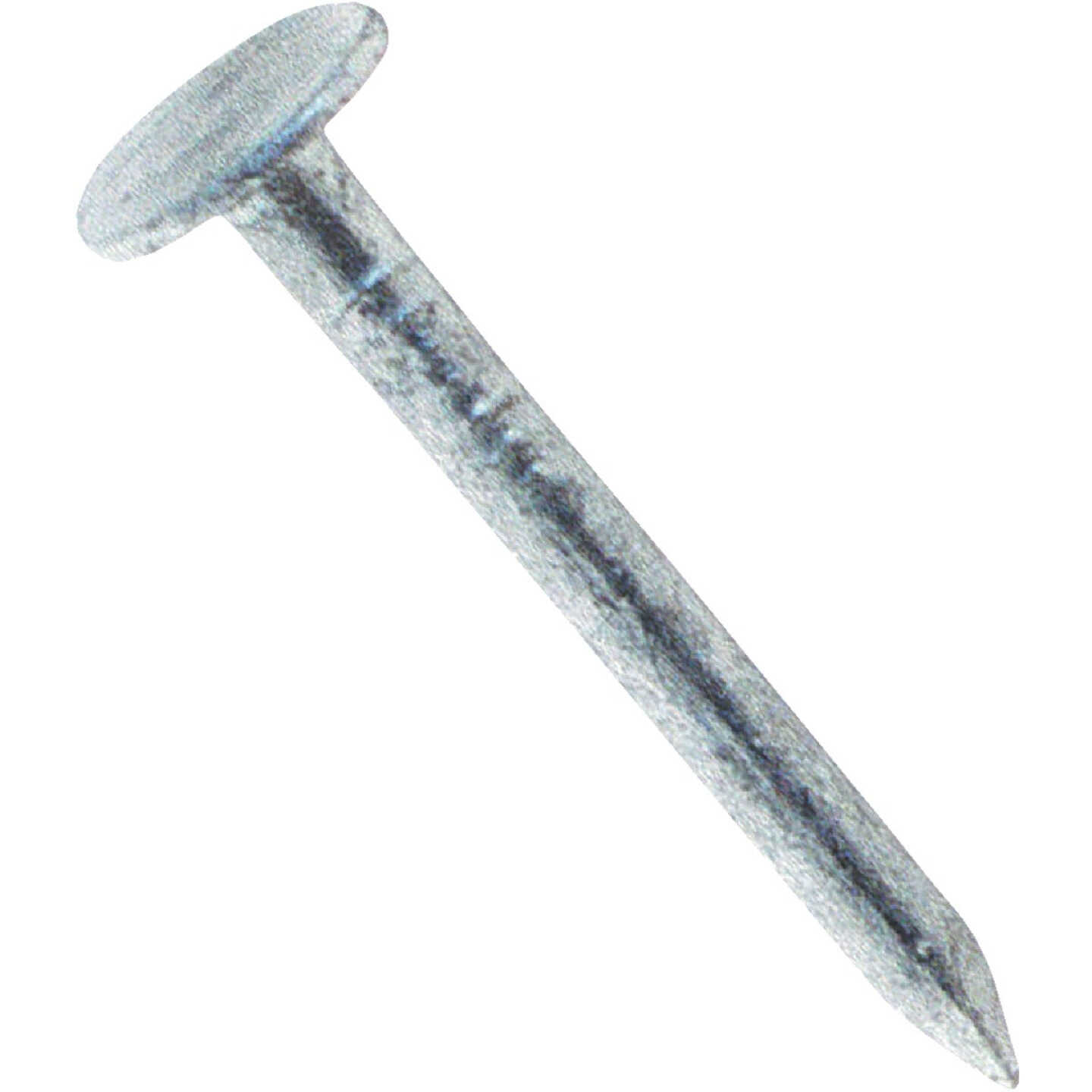 Do it Best 1 In. 11 ga Hot Galvanized Roofing Nails (12,750-Count, 50 Lb.) Image 1