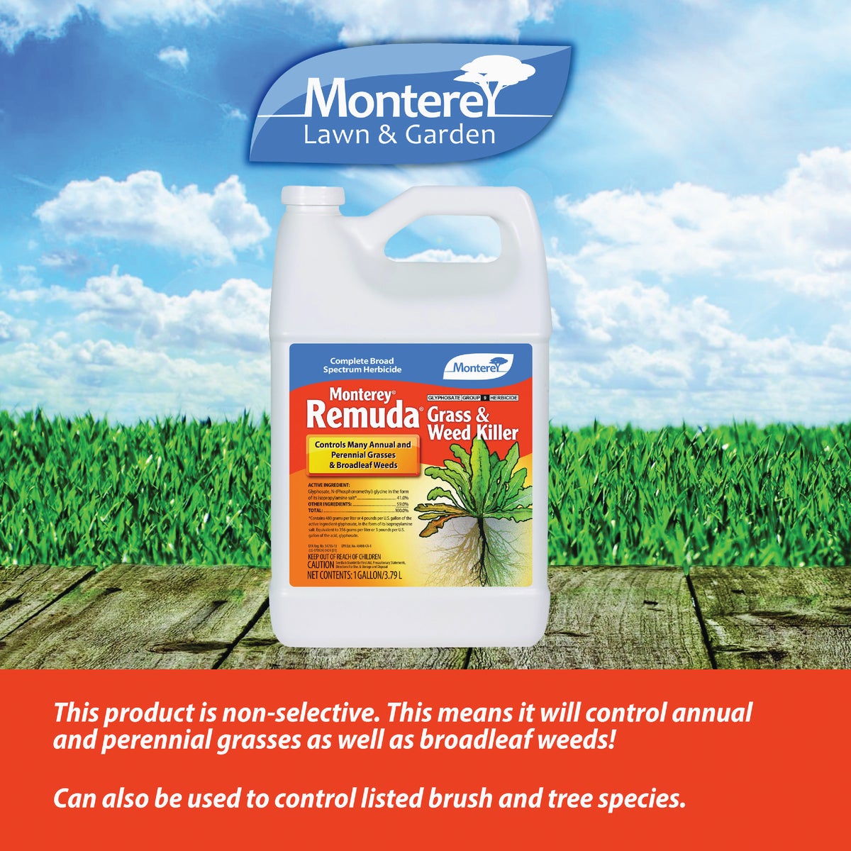 Monterey Remuda 1 Gal. Concentrate Grass & Weed Killer Image 2