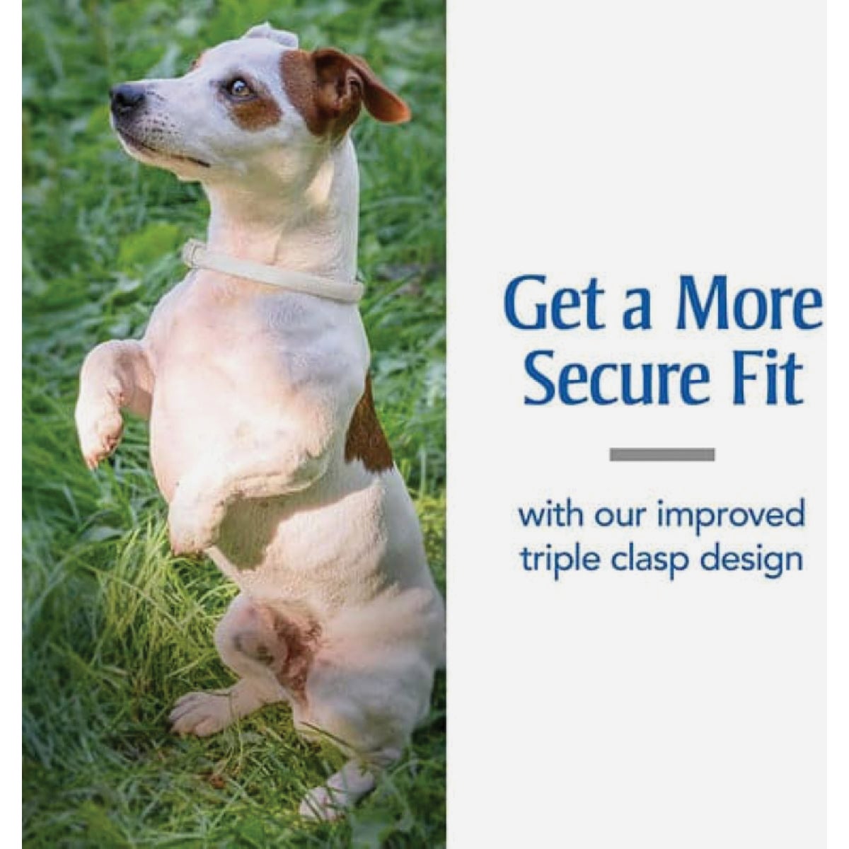 PetArmor Dog Flea & Tick Dog Collar Image 3