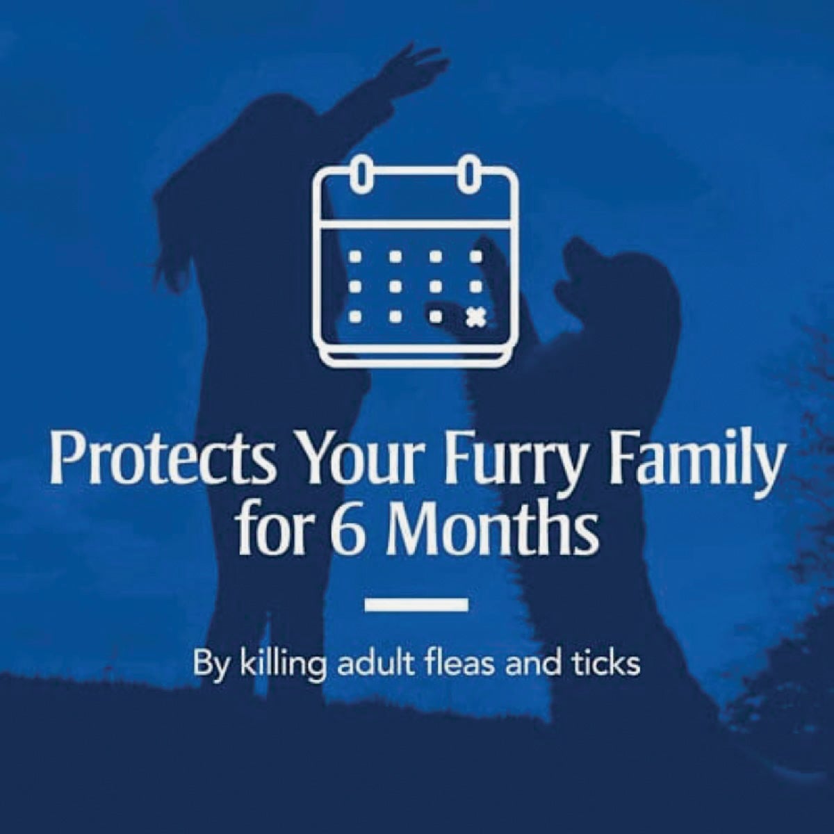 PetArmor Dog Flea & Tick Dog Collar Image 5
