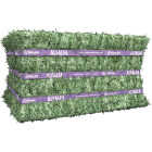 Standlee 50 Lb. Premium Alfalfa Compressed Bale Image 1