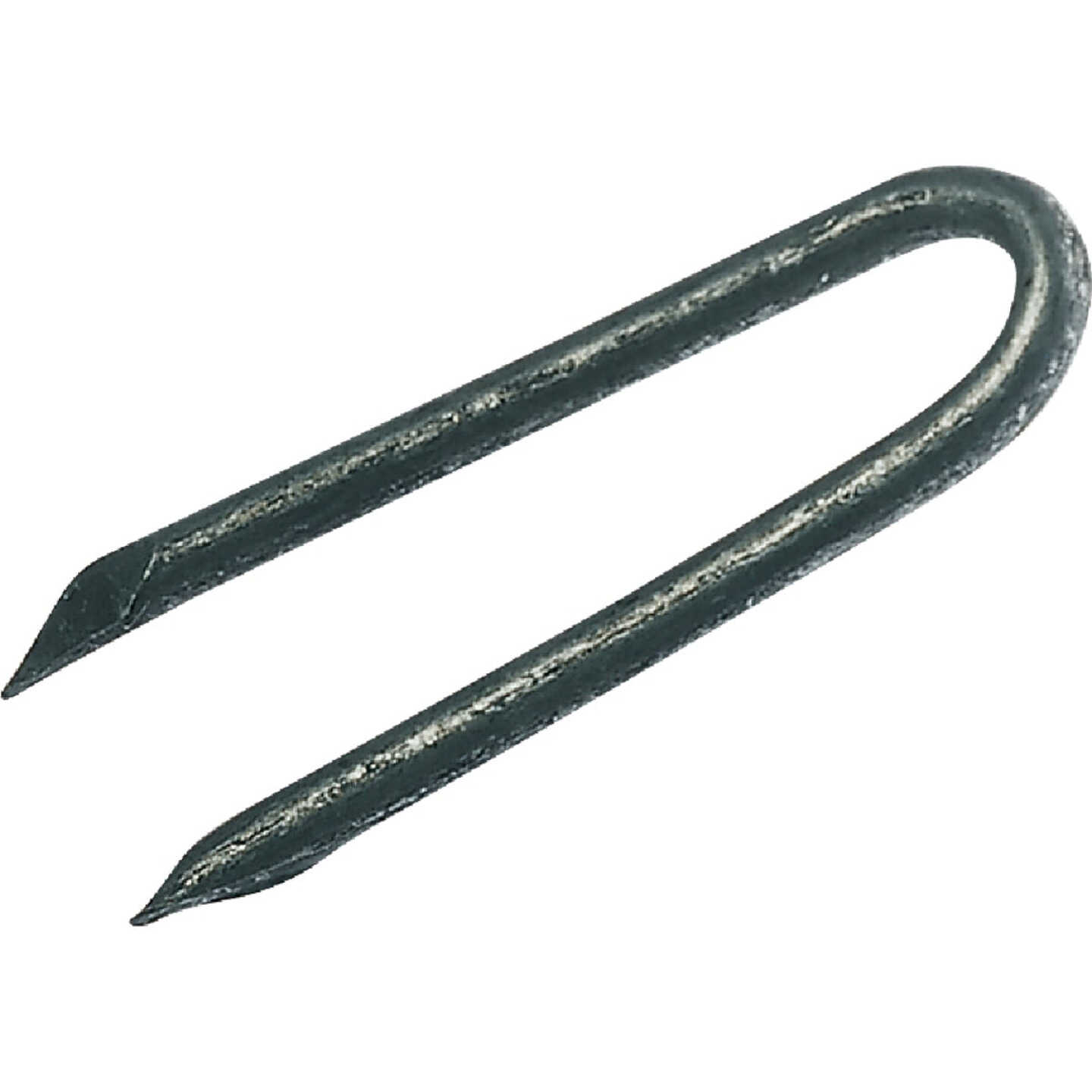 Do it Best 1-3/4 In. 9 ga Hot Galvanized Fence Staples (3050-Count, 50 Lb.) Image 1