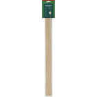Coghlans 30 In. L. Bamboo Classic Roasting Stick (12-Pack) Image 1