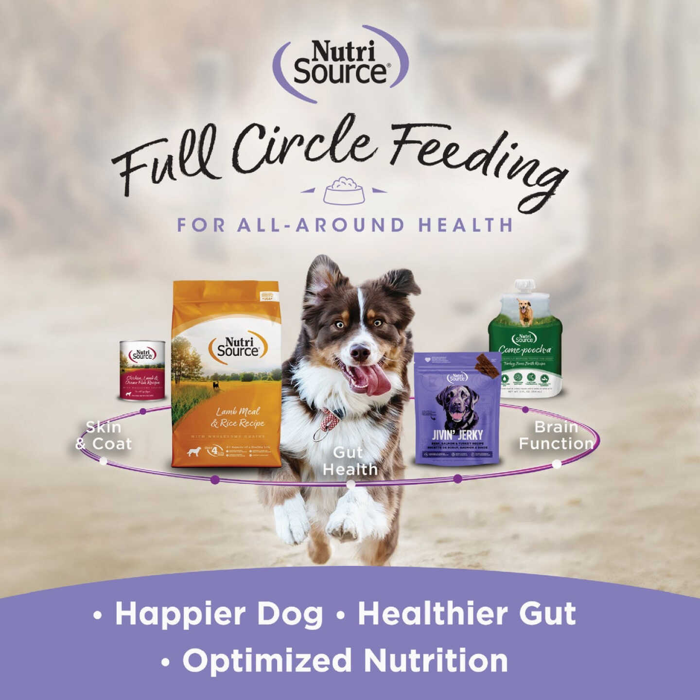 NutriSource Little Bites 6 Oz. Salmon Dog Treat Image 6