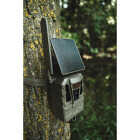 Tactacam Reveal Pro 4.0 Solar Cellular Trail Camera Image 3