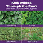 Scotts Turf Builder Bonus S Southern Weed & Feed 18.62 Lb. 5000 Sq. Ft. Weed Killer Plus Lawn Fertilizer Image 3