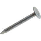 Do it 3 In. 11 ga Electrogalvanized Roofing Nails (92-Count, 1 Lb.) Image 1