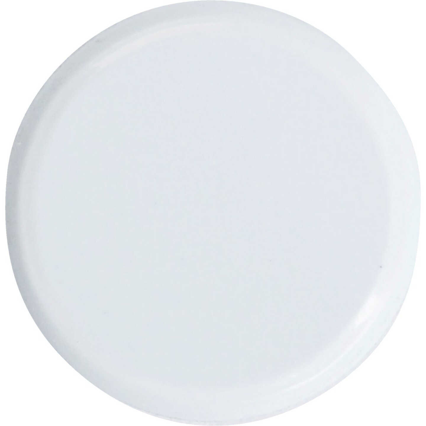 Hillman Anchor Wire White 23/64 In. x 15/64 In. Thumb Tack (40-Count) Image 3