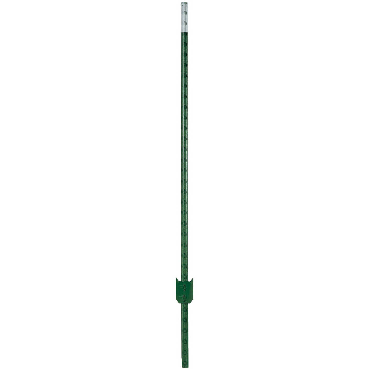 American Posts 6 Ft. Steel 1.25 Lb/Ft. Fence T-Post Image 1