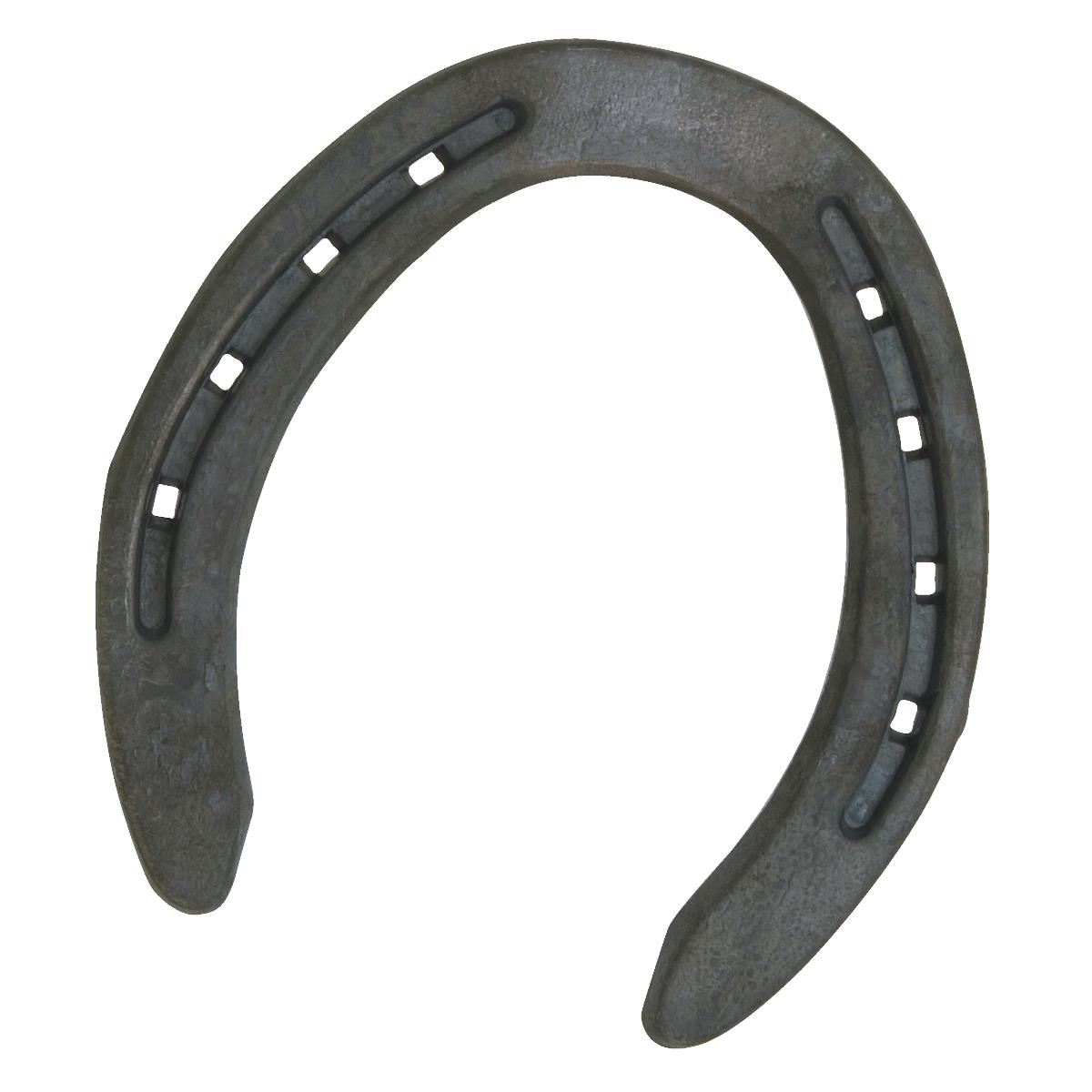 10PR HIND HORSESHOE