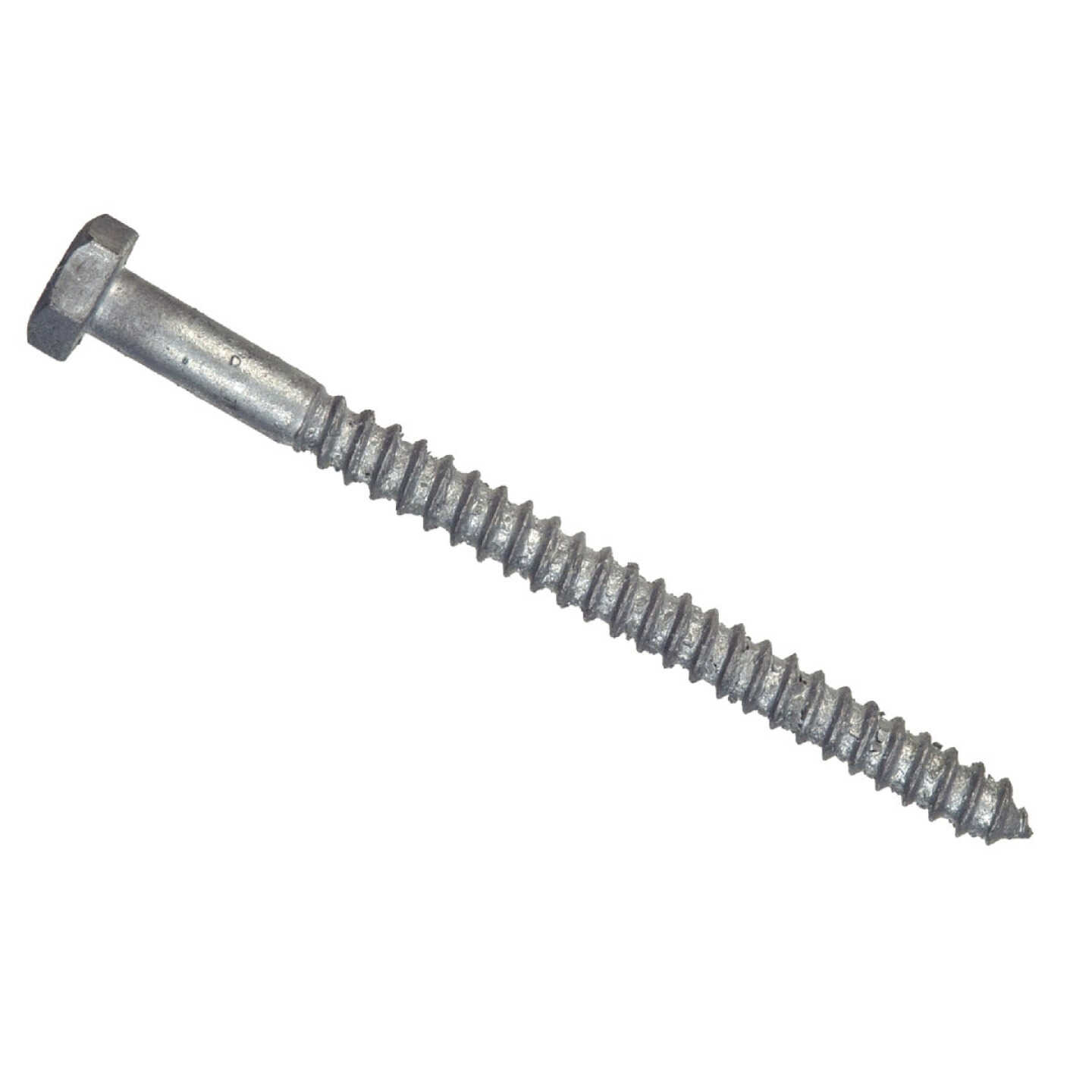 Hillman 1/2 In. x 5 In. Galvanized Hex Lag Screw (25-Count) Image 1