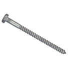 Hillman 1/2 In. x 6 In. Galvanized Hex Lag Screw (25-Count) Image 1