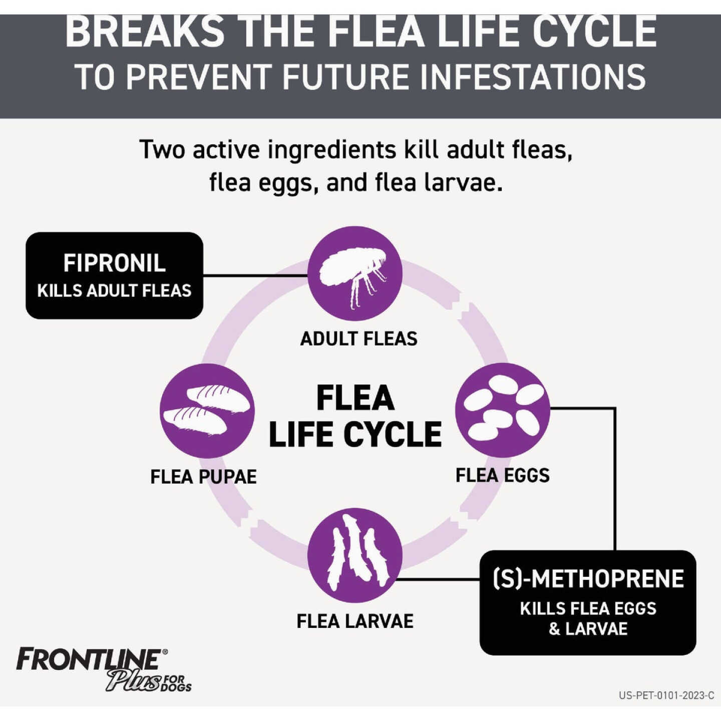 Frontline Plus Flea & Tick Killer For Large Dogs 45 to 88 Lb. (3-Pack) Image 5