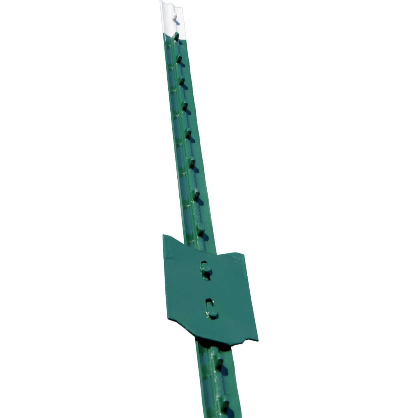 Franklin Industries 6.5 Ft. Steel 1.25 Lb./Ft. Fence T-Post Image 1