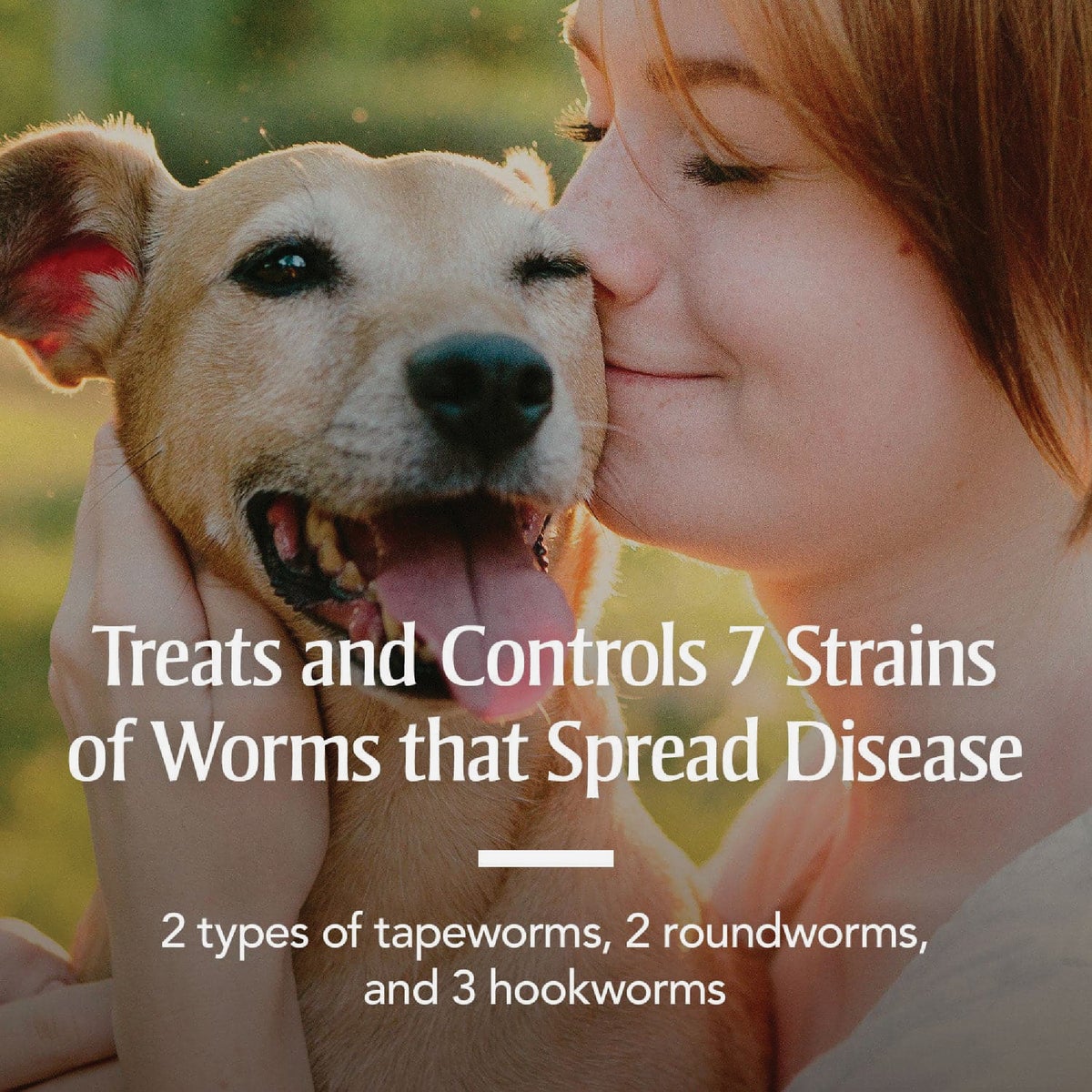 PetArmor 7-Way De-Wormer for Medium & Large Dogs (2-Pack) Image 2