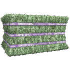Standlee 50 Lb. Premium Timothy Compressed Bale Image 1