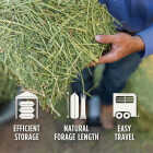 Standlee 50 Lb. Premium Timothy Compressed Bale Image 2