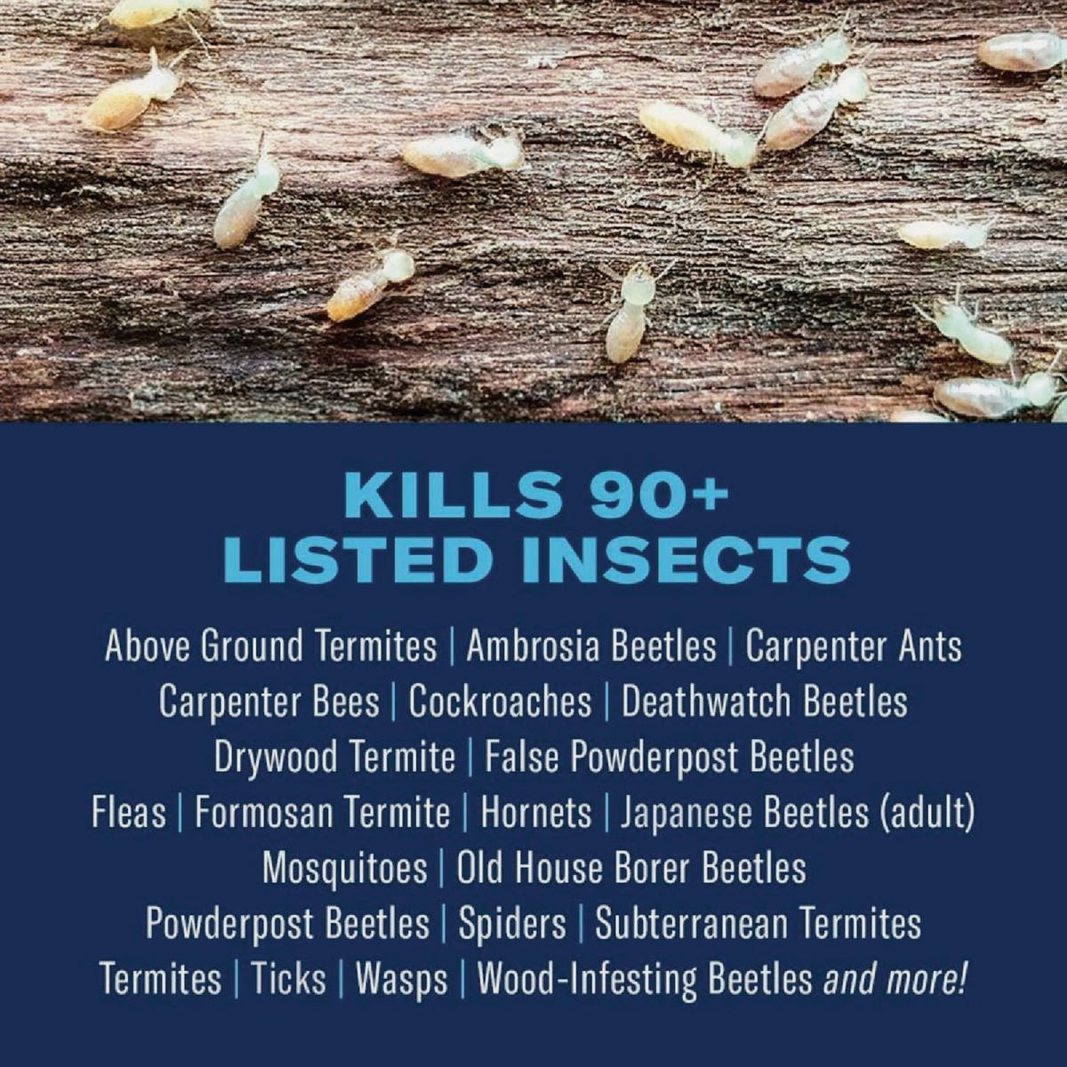 BioAdvanced Carpenter Ant & Termite Killer Plus 40 Oz. Concentrate Insect Killer Image 2