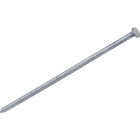 Do it Best 4 In. x 7 ga x 20d Hot Galvanized Ring Shank Pole Barn Nails (1050-Count, 30 Lb.) Image 1