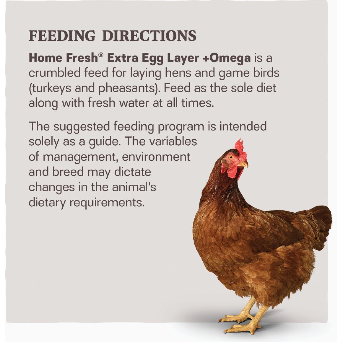 Kent Home Fresh Extra Egg Layer + Omega 50 Lb. Crumble Feed Image 3