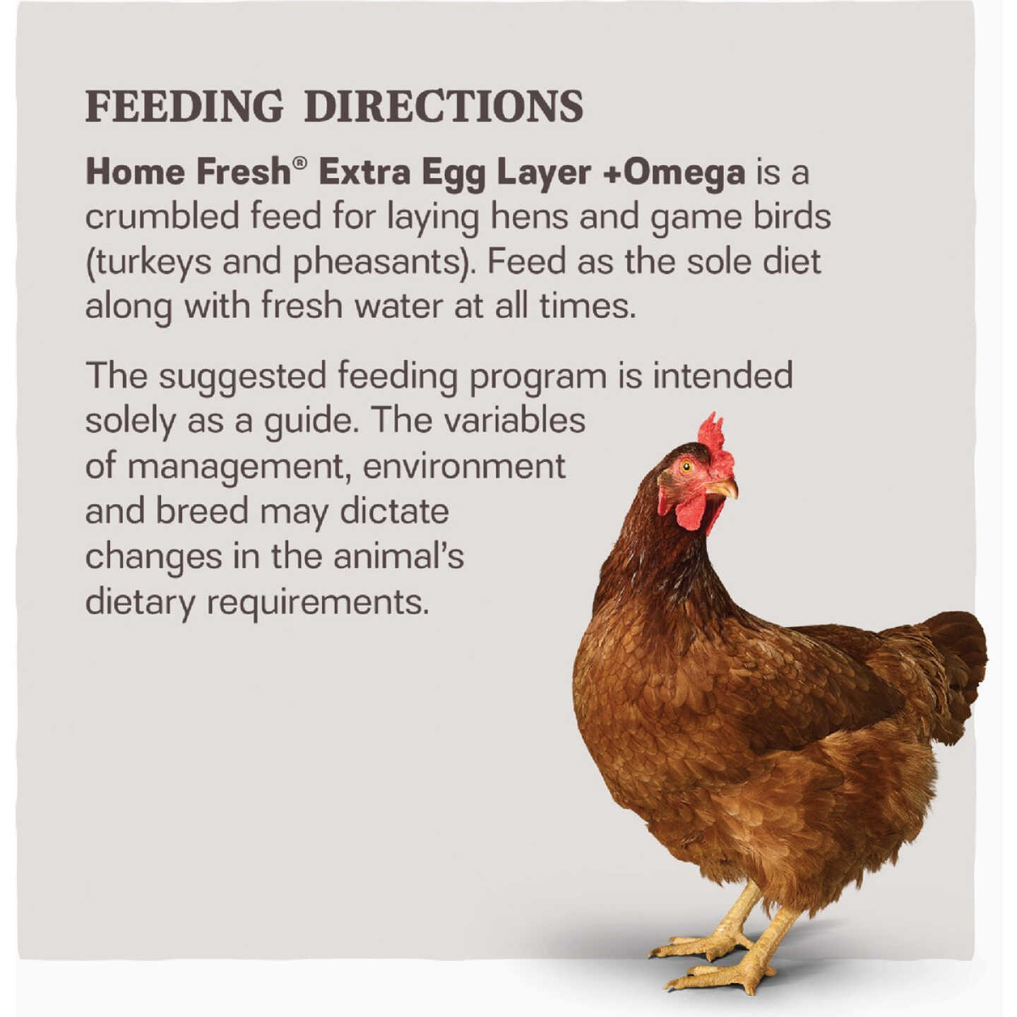 Kent Home Fresh Extra Egg Layer + Omega 50 Lb. Crumble Feed Image 3