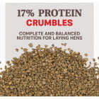 Kent Home Fresh Extra Egg Layer + Omega 50 Lb. Crumble Feed Image 2