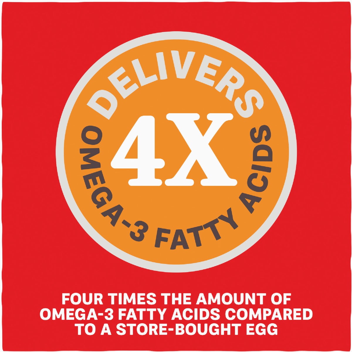 Kent Home Fresh Extra Egg Layer + Omega 50 Lb. Crumble Feed Image 5