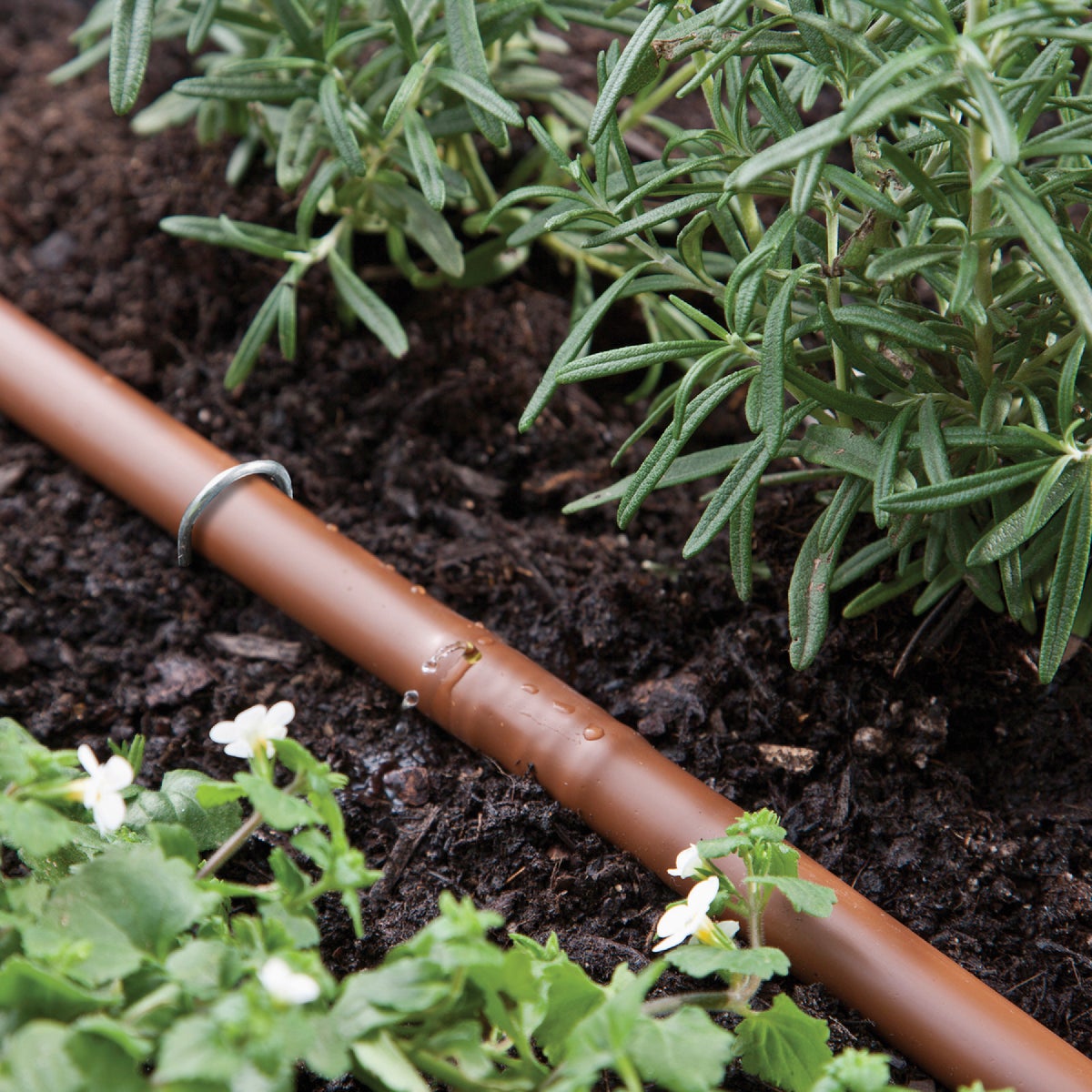Raindrip Watering Kit for Vegetable Gardens Image 2