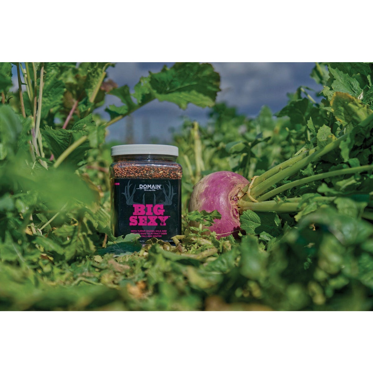 Domain Big Sexy 3 Lb. 1/2 Acre Food Plot Seed Image 4