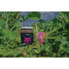 Domain Big Sexy 3 Lb. 1/2 Acre Food Plot Seed Image 4
