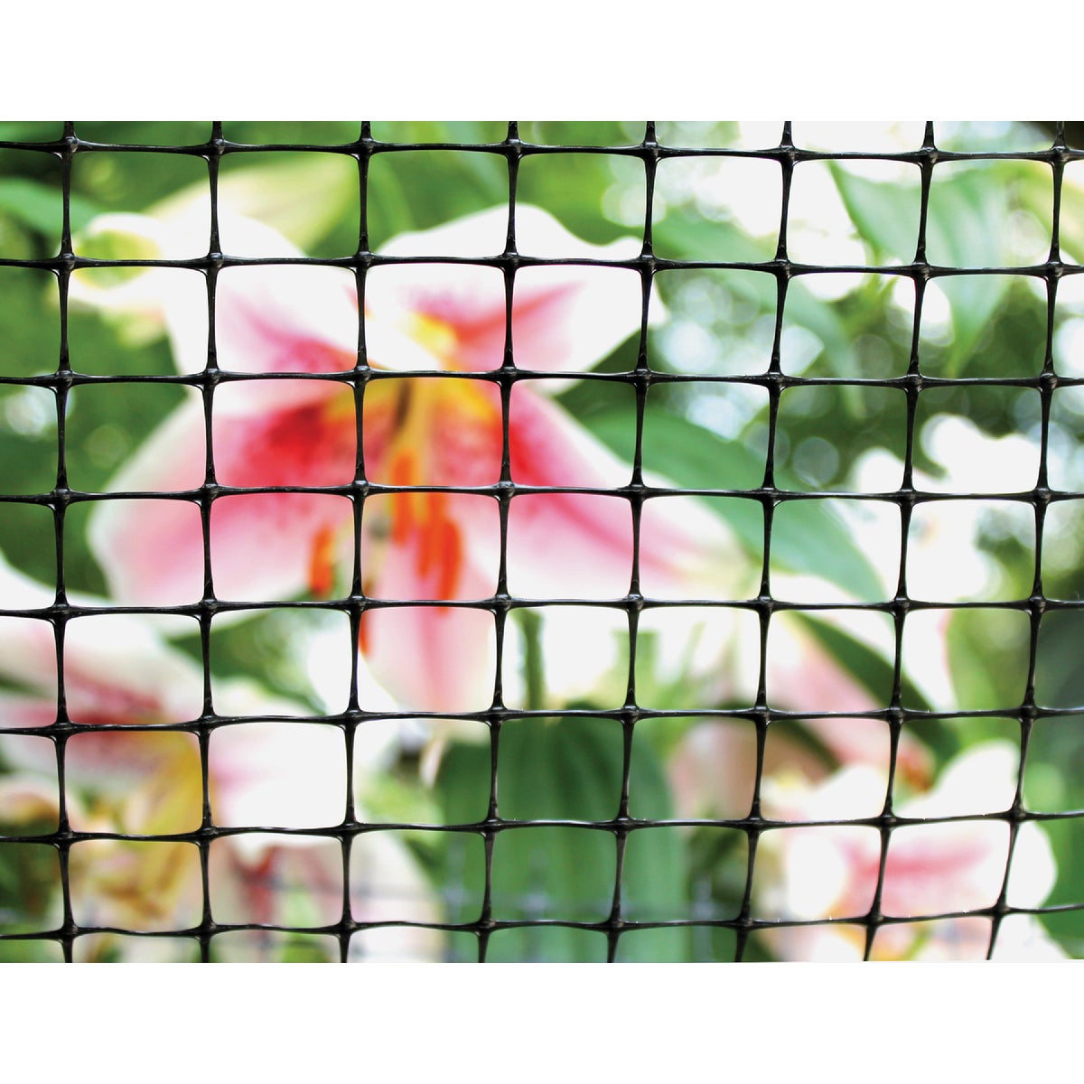 Tenax 3/4 In. x 1 In. Mesh 2 Ft. x 25 Ft. Black Multi-Purpose Net Image 2