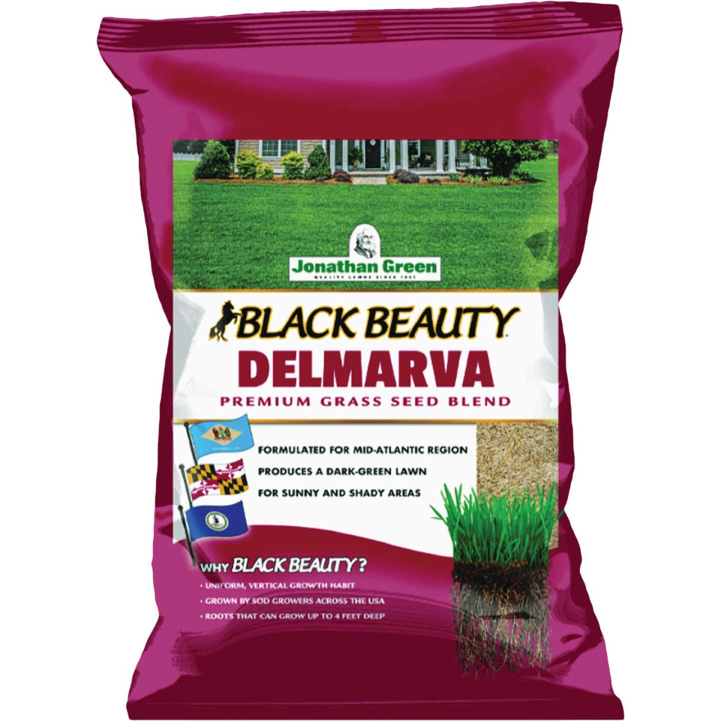 Jonathan Green Black Beauty Delmarva 7 Lb. 2150 Sq. Ft. Coverage Tall Fescue Grass Seed Image 1