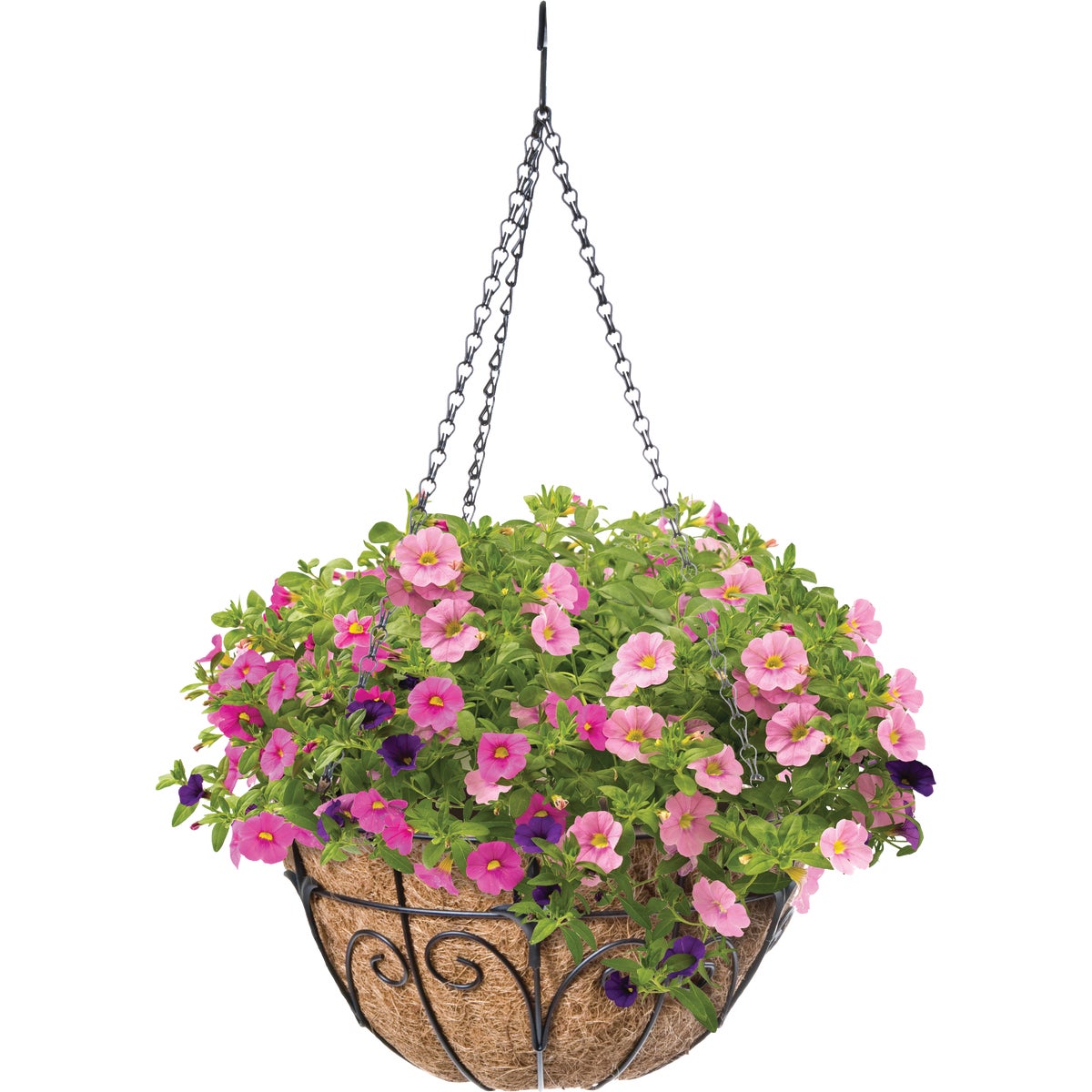 Green Thumb 14 In. Black Finial Hanging Plant Basket