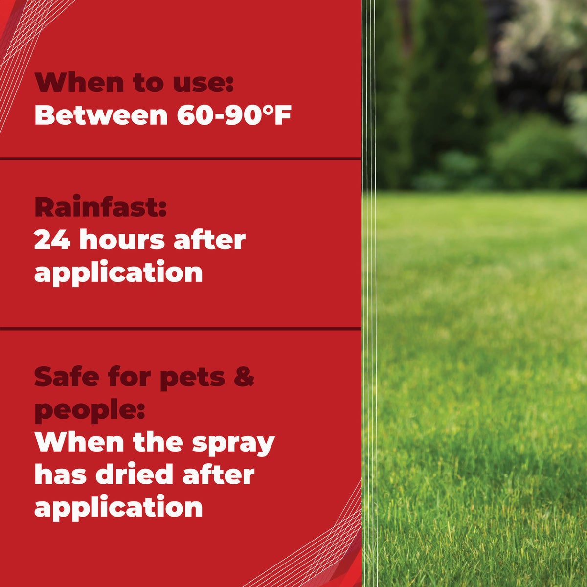Gordon's Trimec 2.5 Gal. Concentrate Lawn Weed Killer Image 4