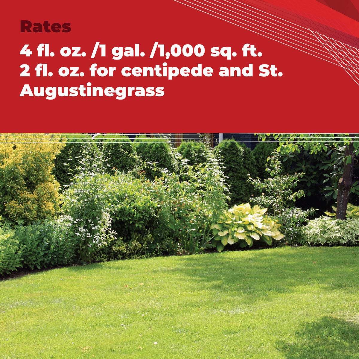 Gordon's Trimec 2.5 Gal. Concentrate Lawn Weed Killer Image 3