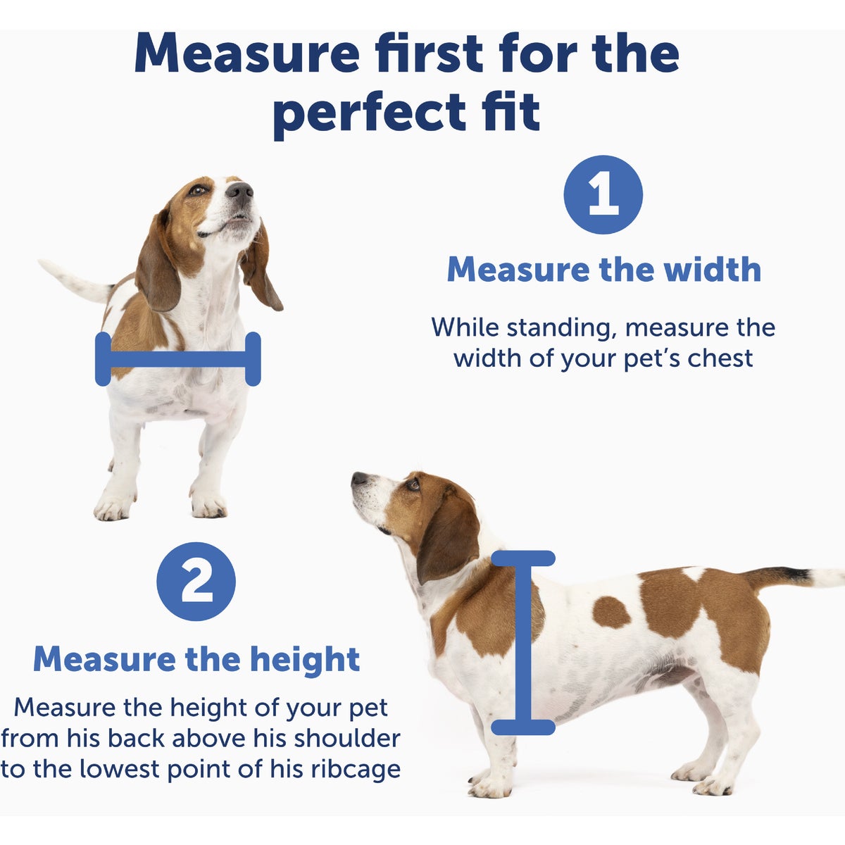 PetSafe Large Plastic Pet Door Image 5