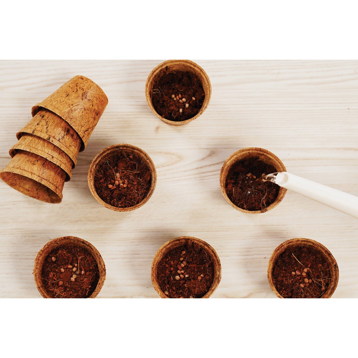 PlantBest 2.5 In. Coconut Coir Plantable Pot (12-Pack) Image 3