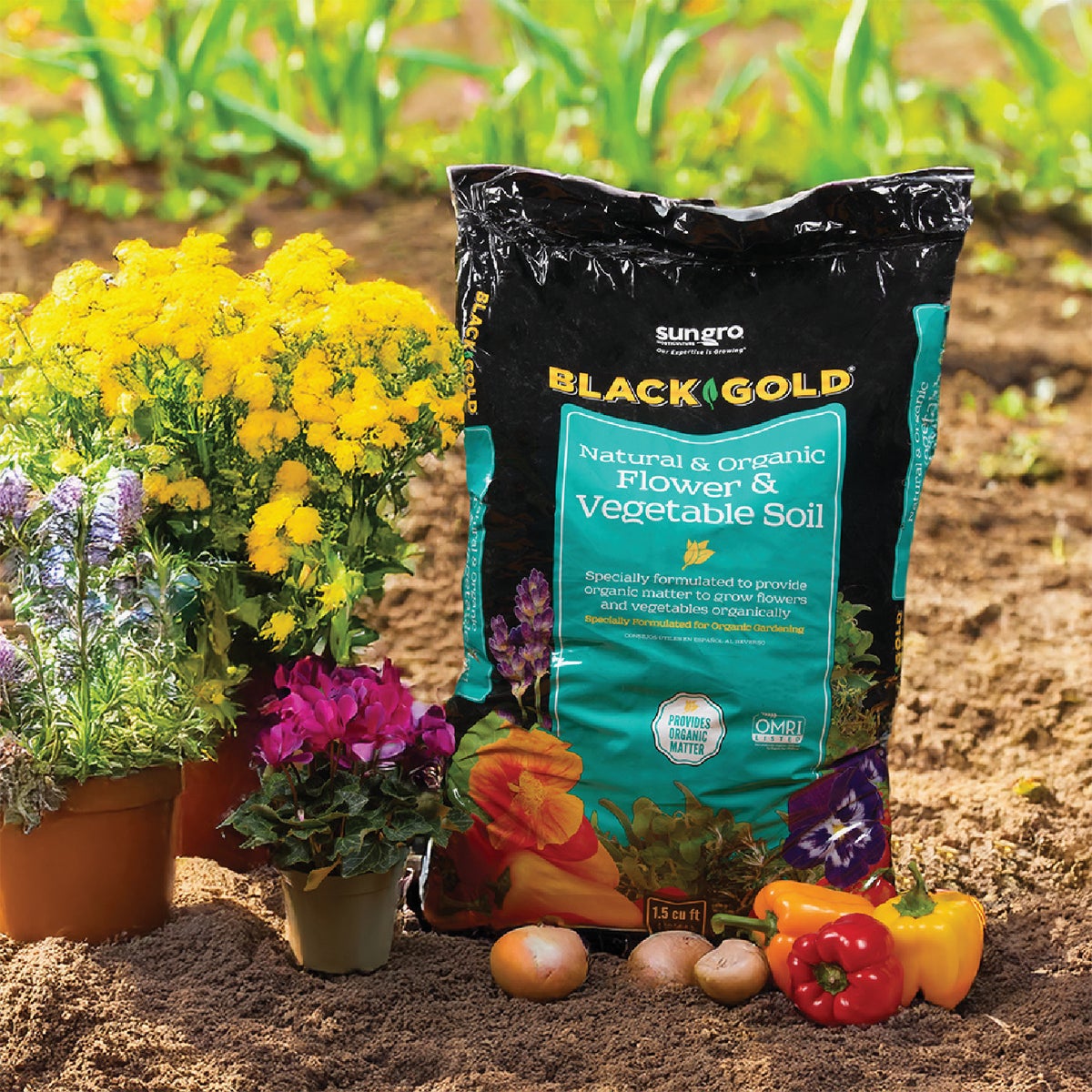 Black Gold 1.5 Cu. Ft. 23 Lb. Natural & Organic Flower & Vegetable Potting Soil Mix Image 2