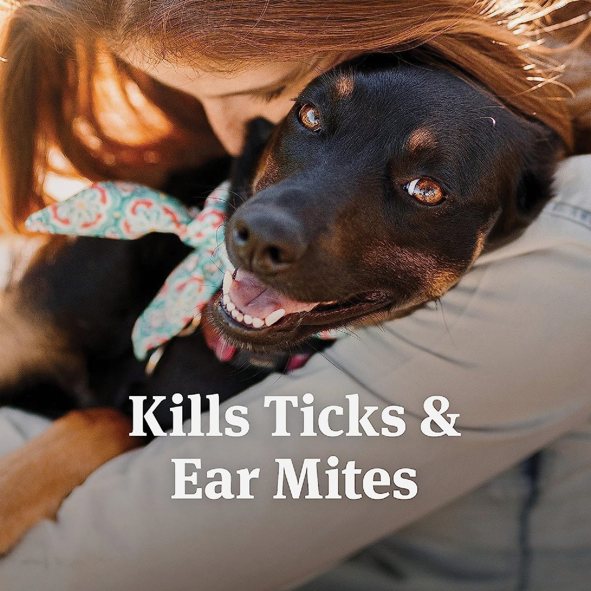 PetArmor 3 Oz. Ear Mite & Tick Treatment for Dogs Image 4