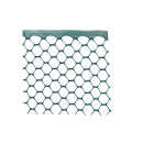 Tenax 4 Ft. x 25 Ft. Green High Density Polyethylene Poultry Fence Image 6