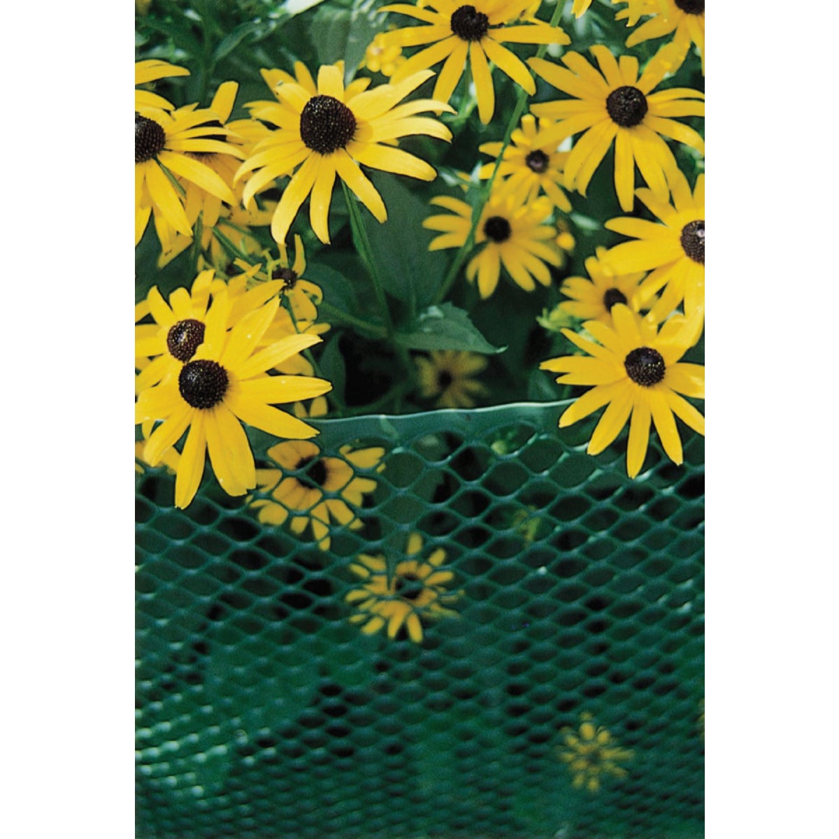 Tenax 4 Ft. x 25 Ft. Green High Density Polyethylene Poultry Fence Image 3