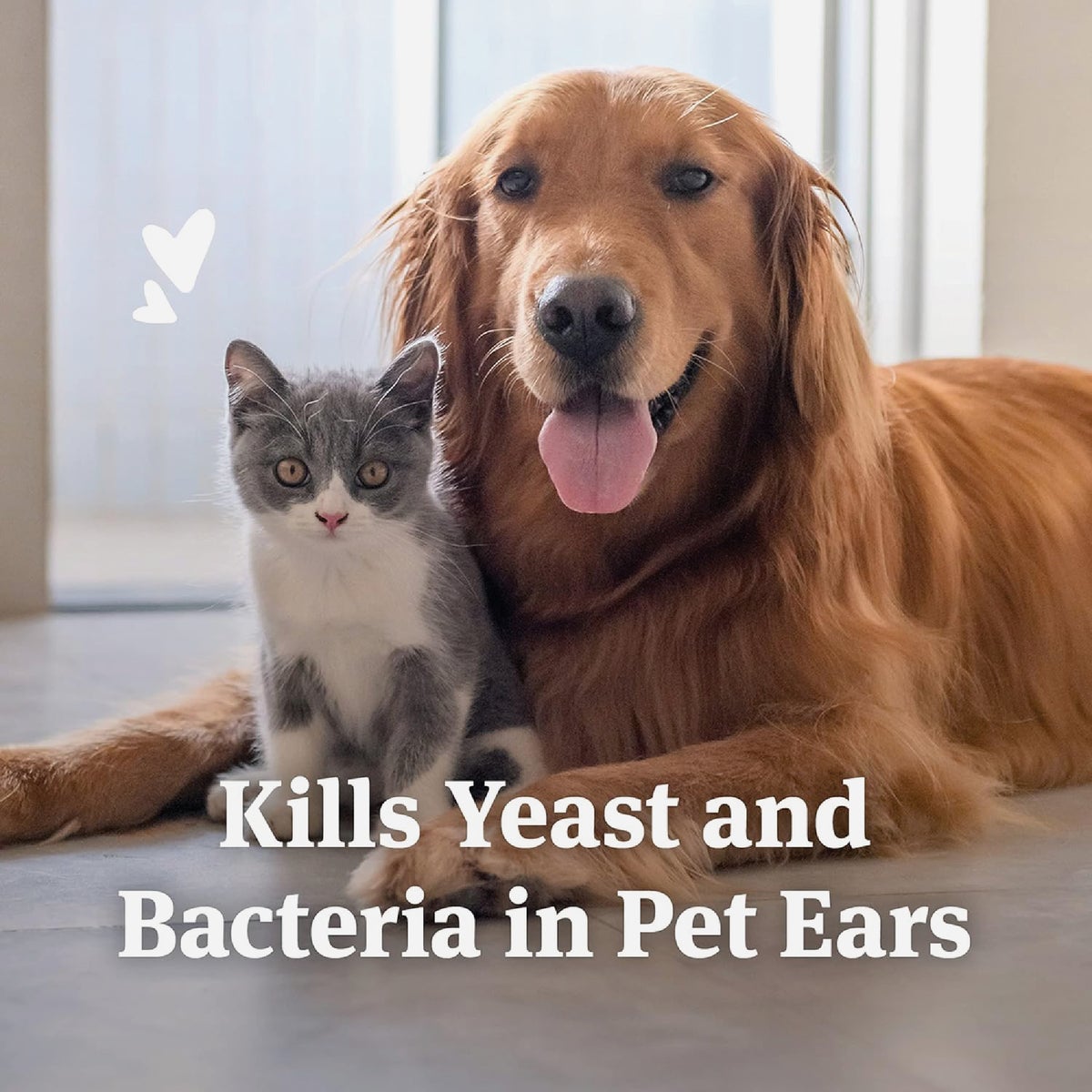 Pet Armor 4 Oz. Ear Rinse for Dogs & Cats Image 3
