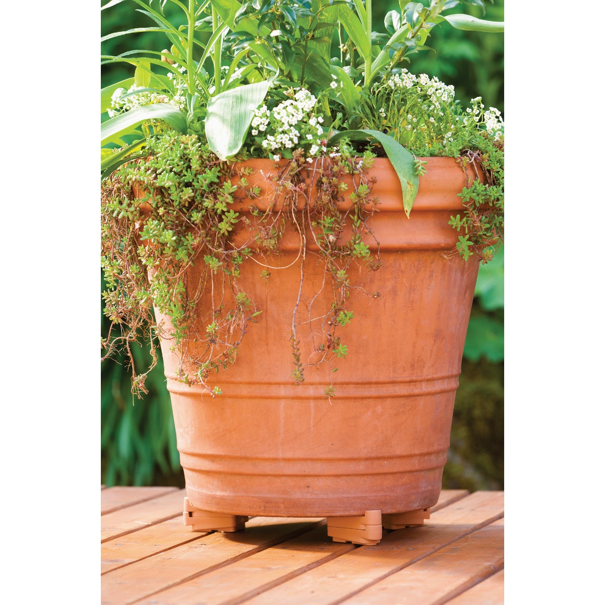 Bosmere Down Under 3 In. Stackable Black Pot Toes (12-Pack) Image 4