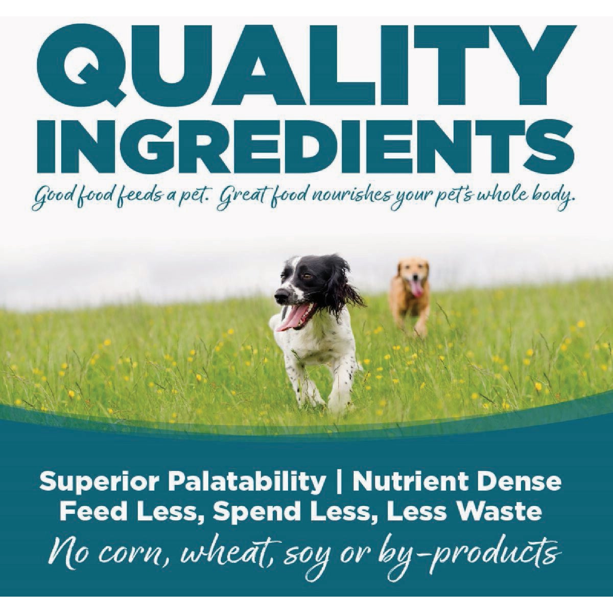 NutriSource 26 Lb. Chicken & Rice Recipe Large Breed Puppy Food Image 5