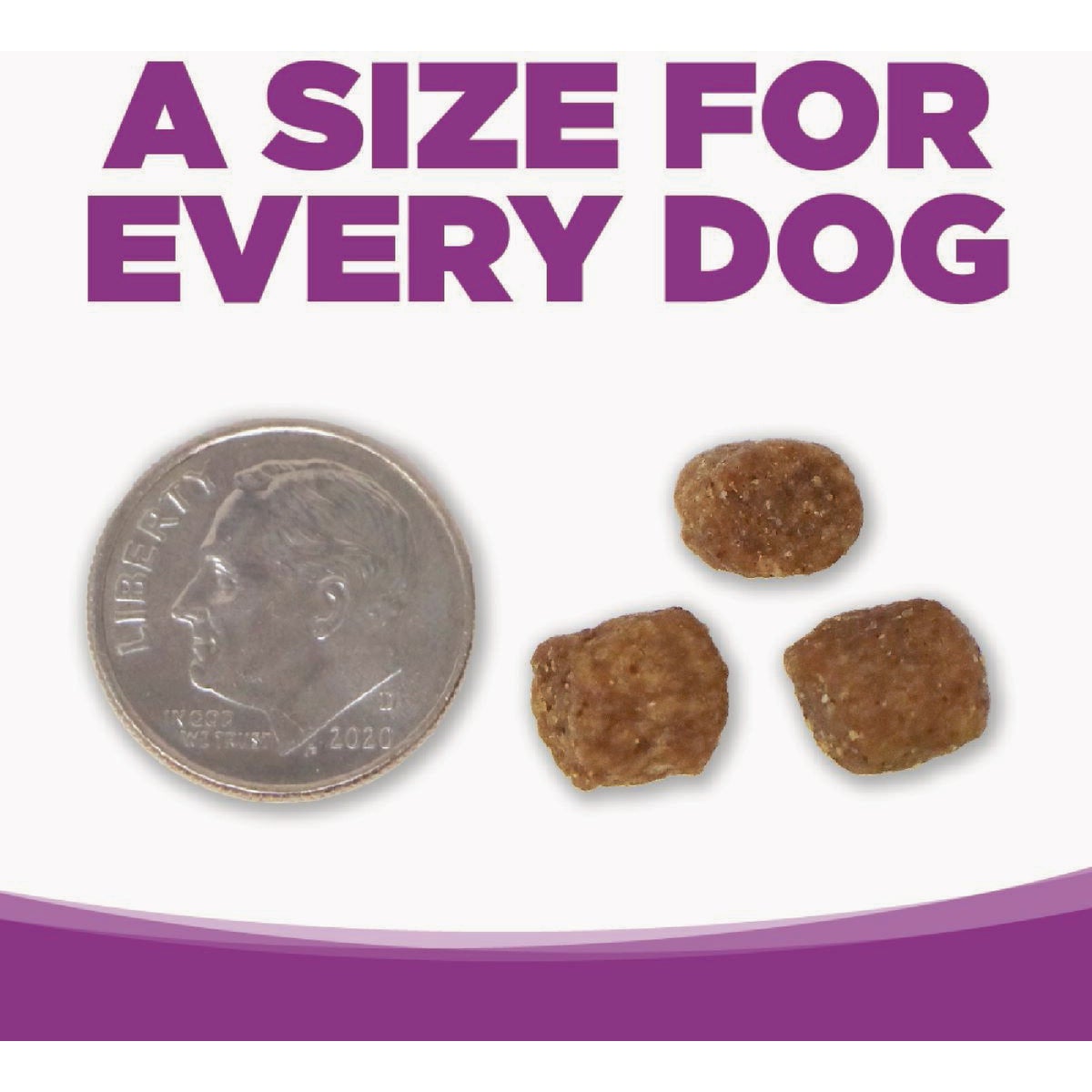 NutriSource 26 Lb. Chicken & Rice Recipe Large Breed Puppy Food Image 2