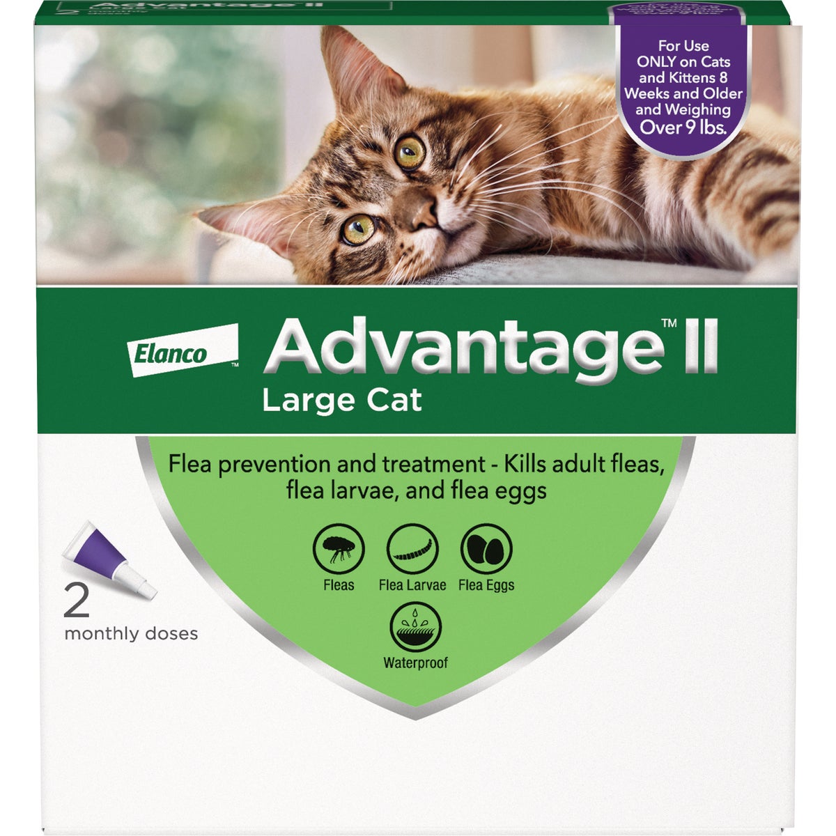 Advantage II Large Cat Fleat Prevention & Treatment (2-Pack)