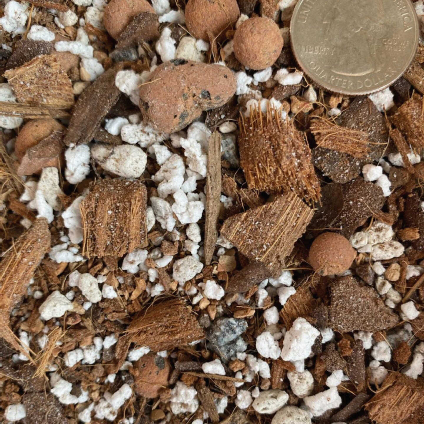 Sol Soils 1 Qt. Succulent Gritty Mix Image 2