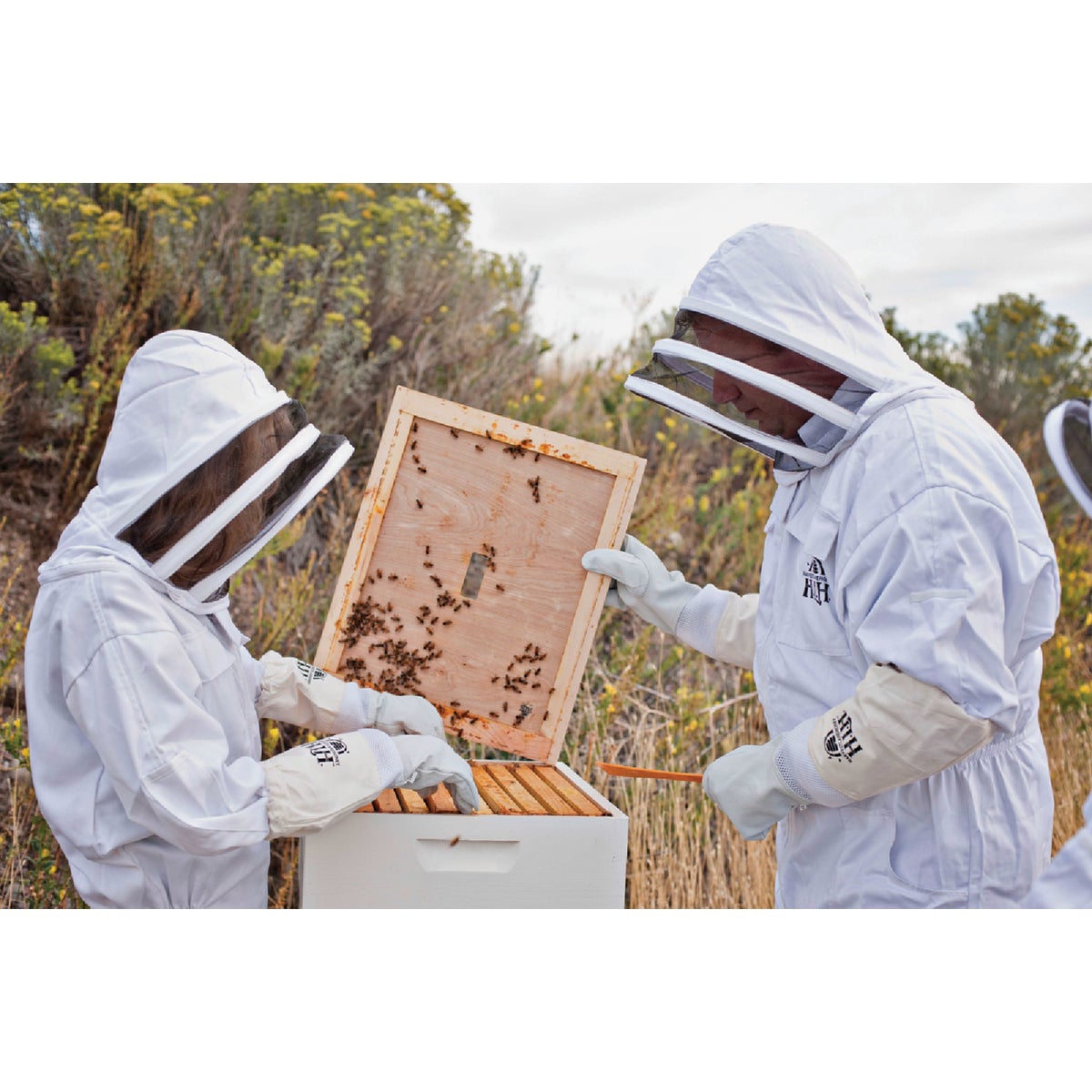 Harvest Lane Honey Medium Goatskin Leather Beekeeping Gloves Image 3
