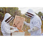 Harvest Lane Honey Medium Goatskin Leather Beekeeping Gloves Image 3