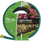 Green Thumb 5/8 In. Dia. x 75 Ft. Light Duty Vinyl Garden Hose Image 1